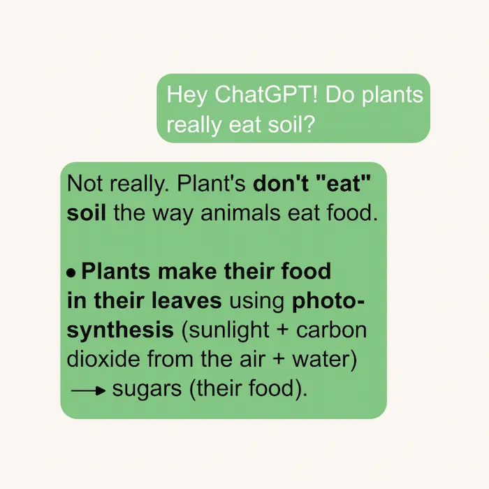 Student-AI interactions