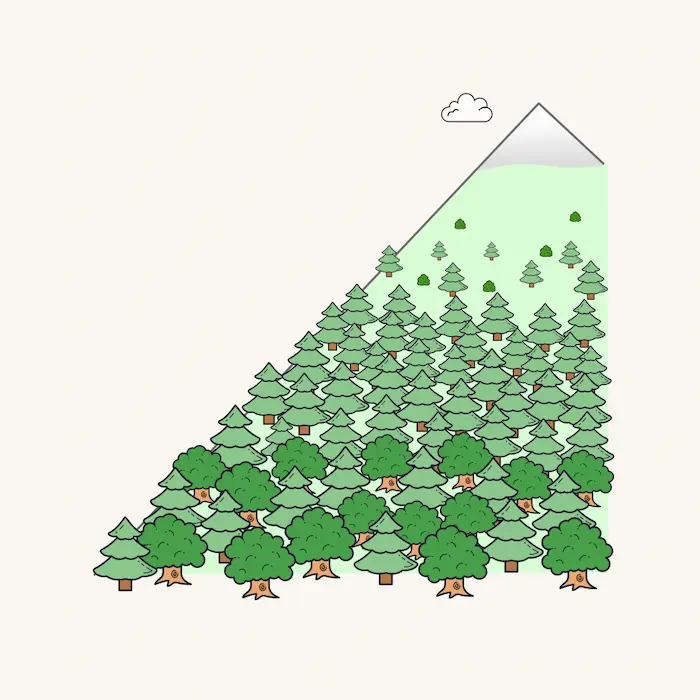 Tree growth in cold climates